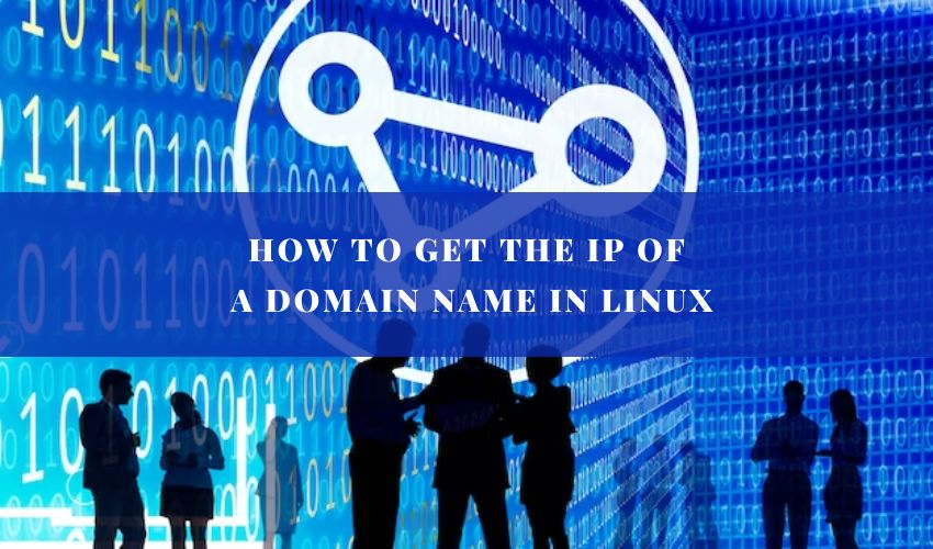 how to get ip from domain name in linux