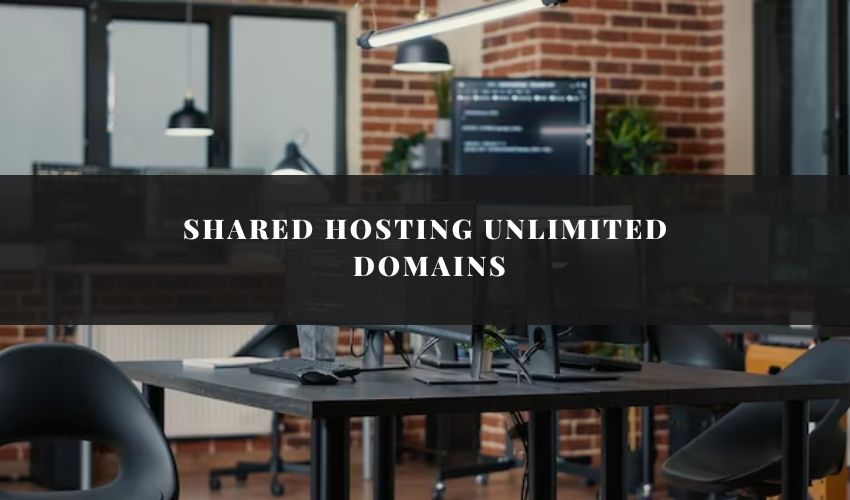 Shared Hosting Unlimited Domains