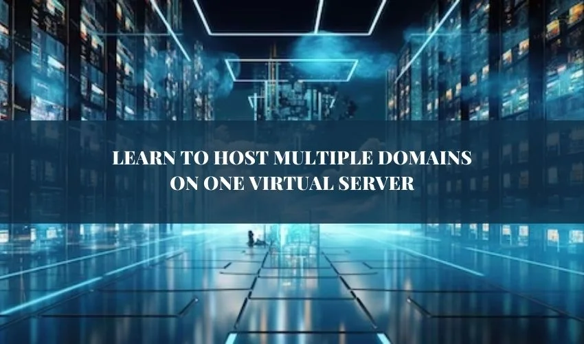 What is Domain Virtual Host: Ultimate Guide to Web Hosting Explained