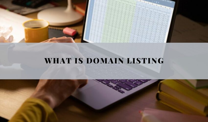 What is Domain listing: A Comprehensive Guide