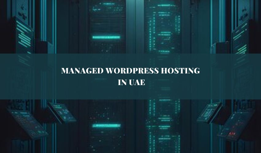 Managed Wordpress Hosting in UAE