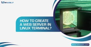 How to Create a Web Server in Linux Terminal